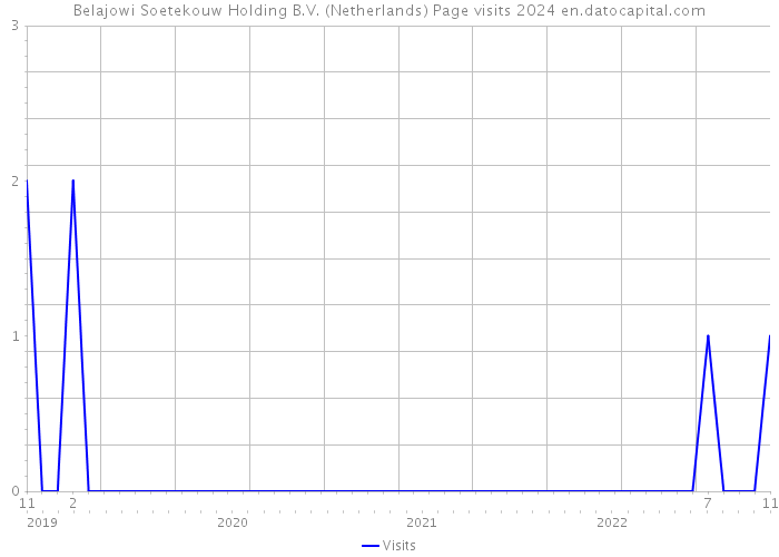 Belajowi Soetekouw Holding B.V. (Netherlands) Page visits 2024 