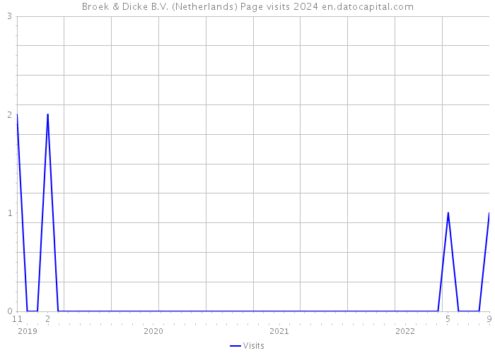 Broek & Dicke B.V. (Netherlands) Page visits 2024 