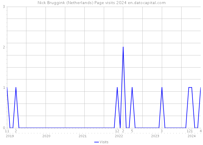 Nick Bruggink (Netherlands) Page visits 2024 