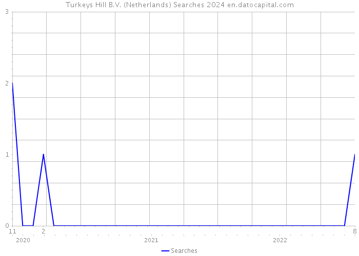 Turkeys Hill B.V. (Netherlands) Searches 2024 