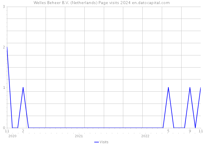 Welles Beheer B.V. (Netherlands) Page visits 2024 
