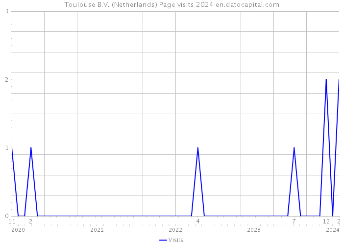 Toulouse B.V. (Netherlands) Page visits 2024 