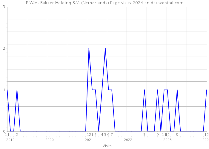 P.W.M. Bakker Holding B.V. (Netherlands) Page visits 2024 