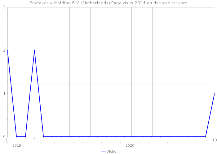 Soetekouw Holding B.V. (Netherlands) Page visits 2024 