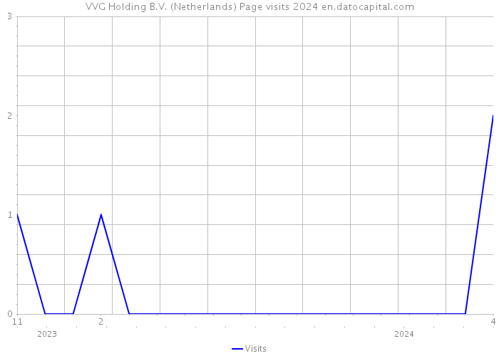 VVG Holding B.V. (Netherlands) Page visits 2024 