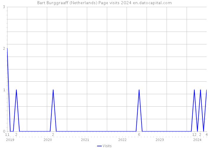 Bart Burggraaff (Netherlands) Page visits 2024 