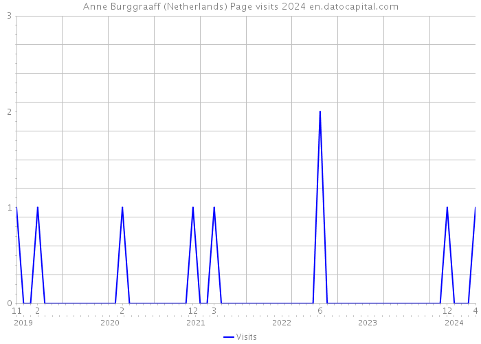 Anne Burggraaff (Netherlands) Page visits 2024 