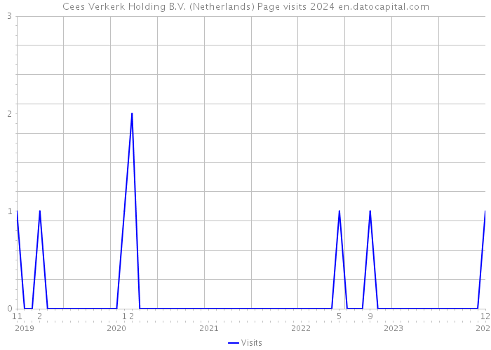 Cees Verkerk Holding B.V. (Netherlands) Page visits 2024 