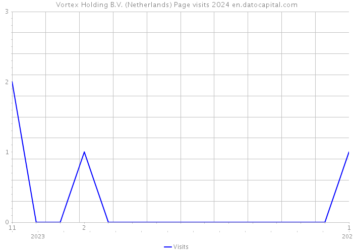 Vortex Holding B.V. (Netherlands) Page visits 2024 
