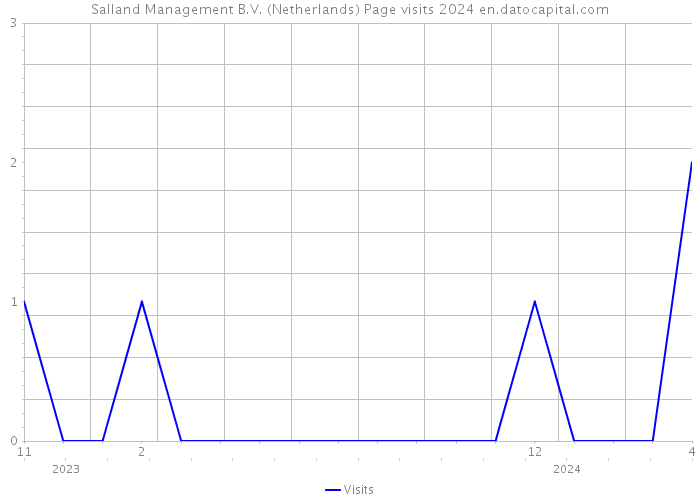 Salland Management B.V. (Netherlands) Page visits 2024 