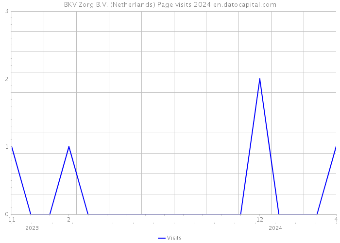 BKV Zorg B.V. (Netherlands) Page visits 2024 