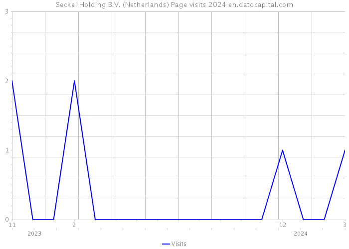 Seckel Holding B.V. (Netherlands) Page visits 2024 