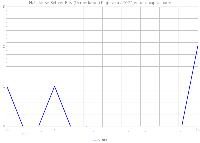 H. Lokerse Beheer B.V. (Netherlands) Page visits 2024 