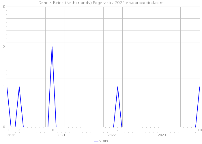 Dennis Reins (Netherlands) Page visits 2024 