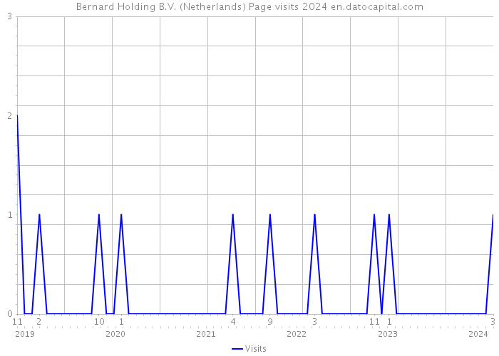 Bernard Holding B.V. (Netherlands) Page visits 2024 