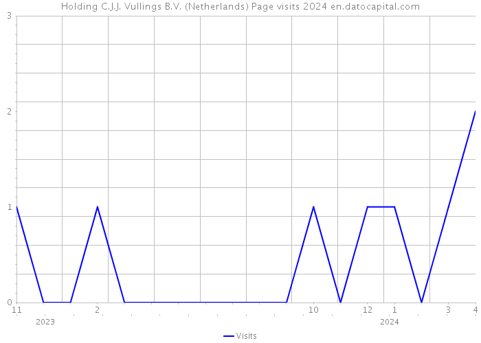 Holding C.J.J. Vullings B.V. (Netherlands) Page visits 2024 