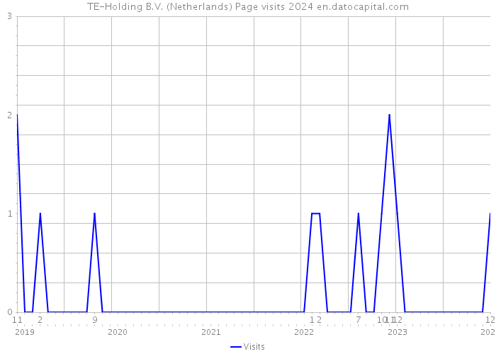TE-Holding B.V. (Netherlands) Page visits 2024 