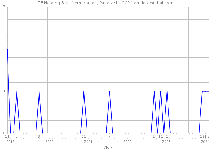 TE Holding B.V. (Netherlands) Page visits 2024 