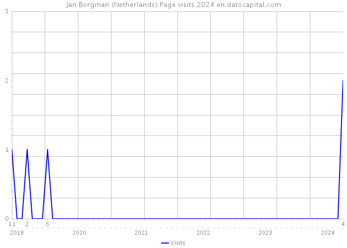 Jan Borgman (Netherlands) Page visits 2024 