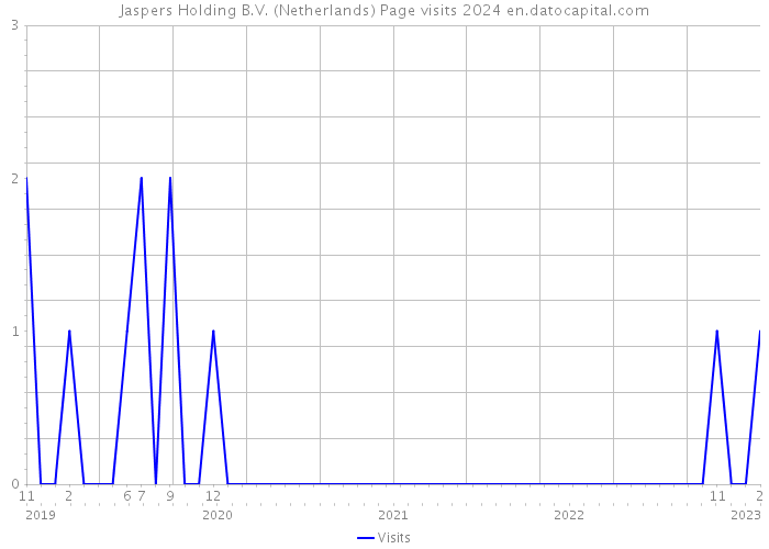 Jaspers Holding B.V. (Netherlands) Page visits 2024 