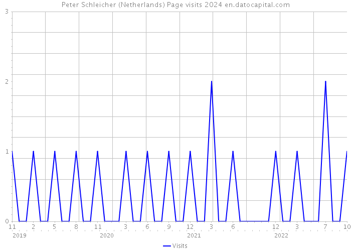 Peter Schleicher (Netherlands) Page visits 2024 