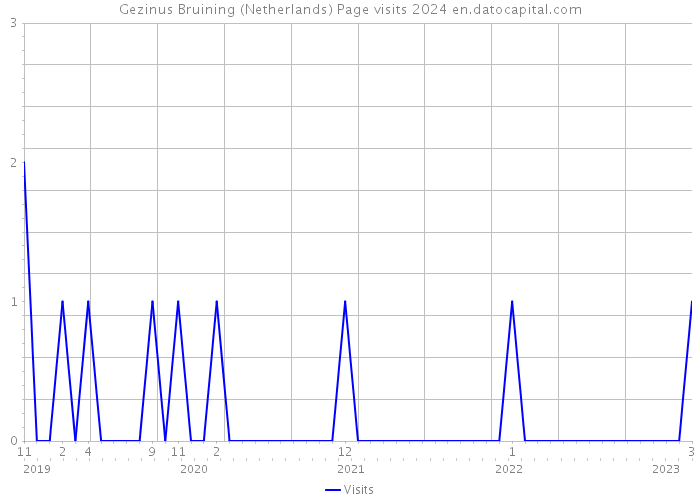 Gezinus Bruining (Netherlands) Page visits 2024 
