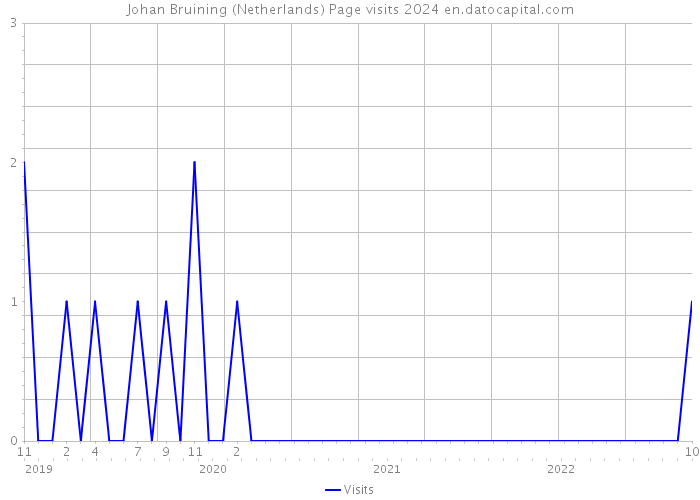 Johan Bruining (Netherlands) Page visits 2024 