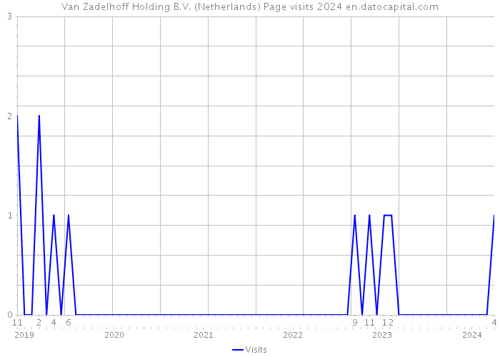 Van Zadelhoff Holding B.V. (Netherlands) Page visits 2024 