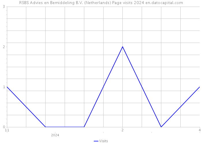 RSBS Advies en Bemiddeling B.V. (Netherlands) Page visits 2024 