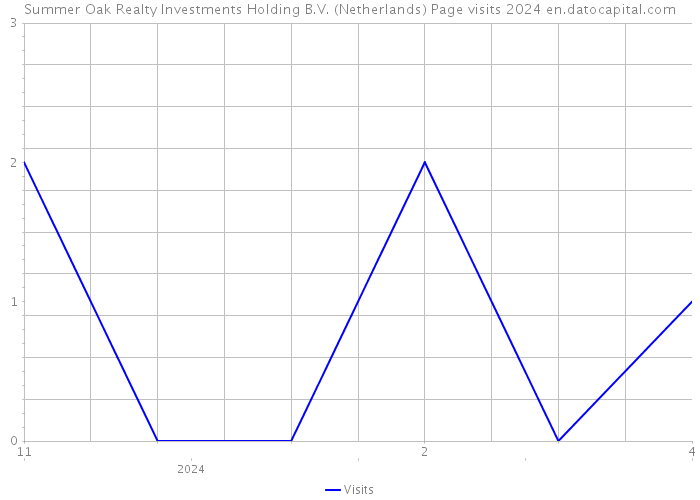 Summer Oak Realty Investments Holding B.V. (Netherlands) Page visits 2024 