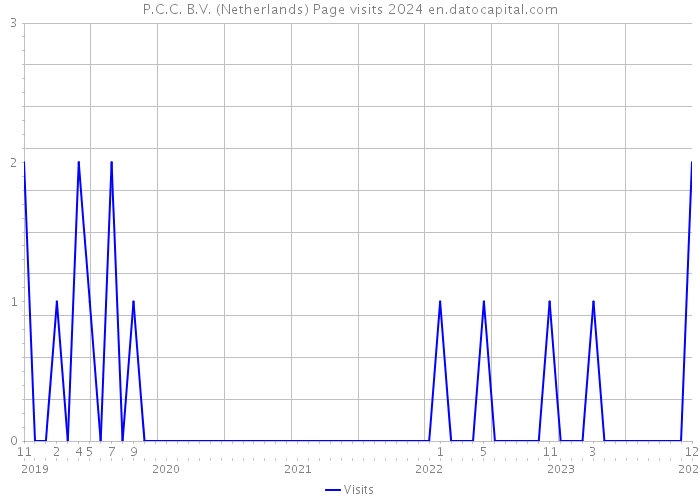 P.C.C. B.V. (Netherlands) Page visits 2024 