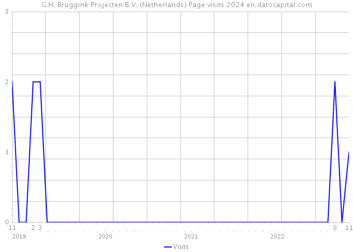 G.H. Bruggink Projecten B.V. (Netherlands) Page visits 2024 
