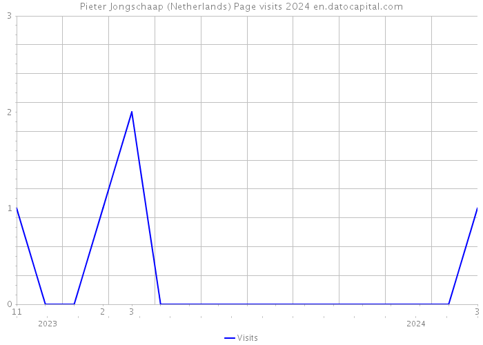 Pieter Jongschaap (Netherlands) Page visits 2024 