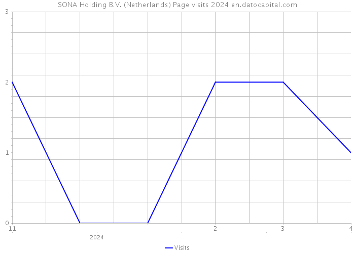 SONA Holding B.V. (Netherlands) Page visits 2024 