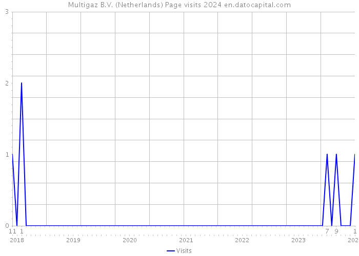 Multigaz B.V. (Netherlands) Page visits 2024 