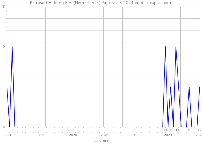 Betrasari Holding B.V. (Netherlands) Page visits 2024 