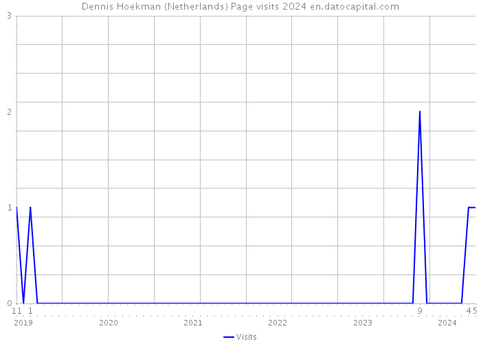 Dennis Hoekman (Netherlands) Page visits 2024 