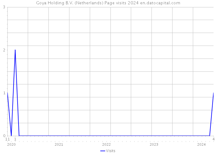 Goya Holding B.V. (Netherlands) Page visits 2024 