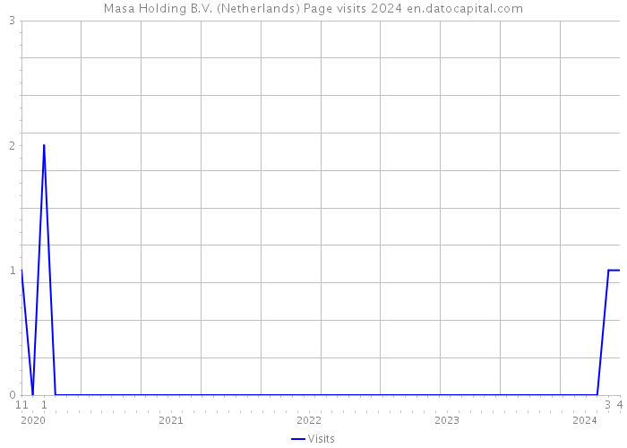 Masa Holding B.V. (Netherlands) Page visits 2024 