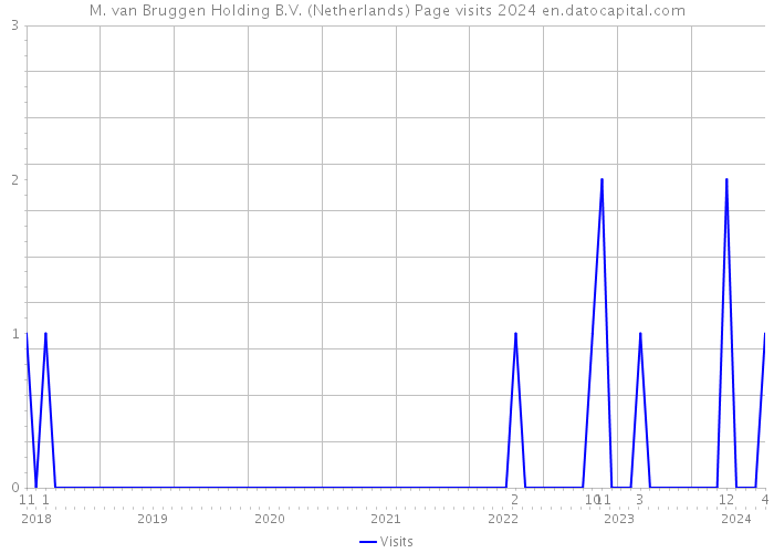 M. van Bruggen Holding B.V. (Netherlands) Page visits 2024 