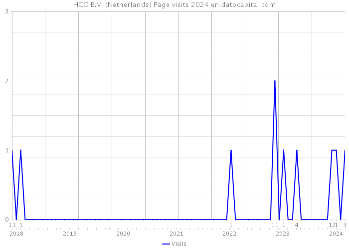 HCO B.V. (Netherlands) Page visits 2024 