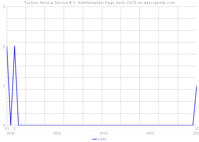 Techno Horeca Service B.V. (Netherlands) Page visits 2024 