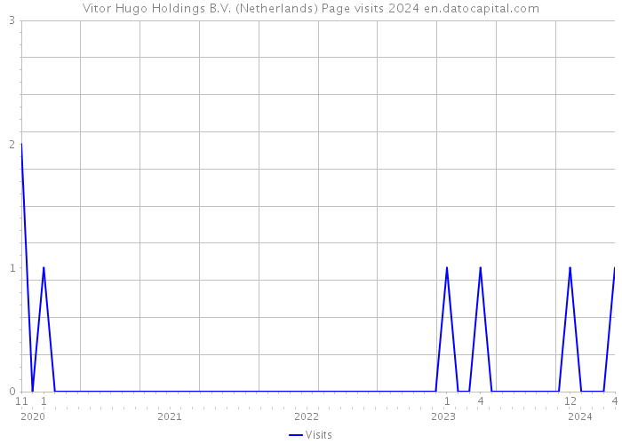 Vitor Hugo Holdings B.V. (Netherlands) Page visits 2024 