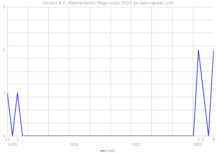 Cerdos B.V. (Netherlands) Page visits 2024 