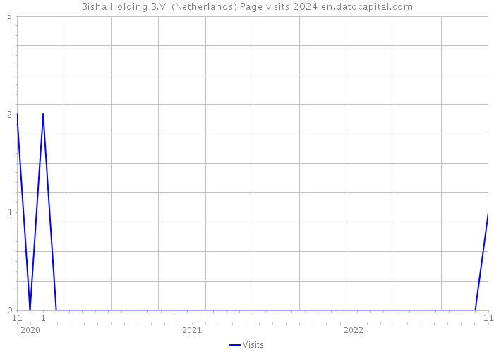 Bisha Holding B.V. (Netherlands) Page visits 2024 