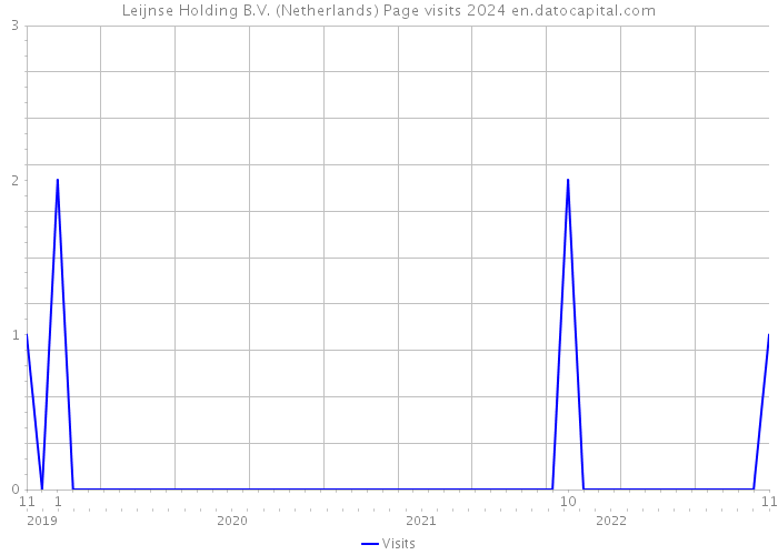 Leijnse Holding B.V. (Netherlands) Page visits 2024 