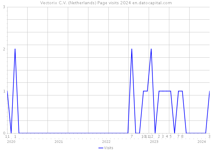 Vectorix C.V. (Netherlands) Page visits 2024 