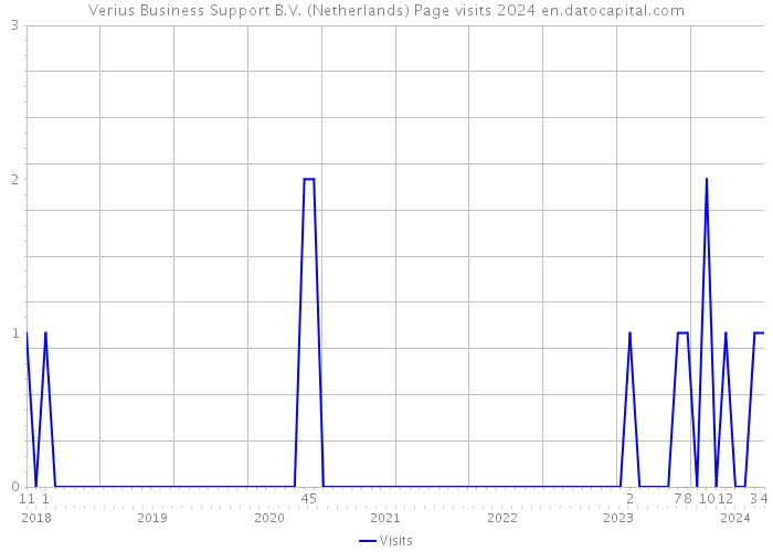 Verius Business Support B.V. (Netherlands) Page visits 2024 