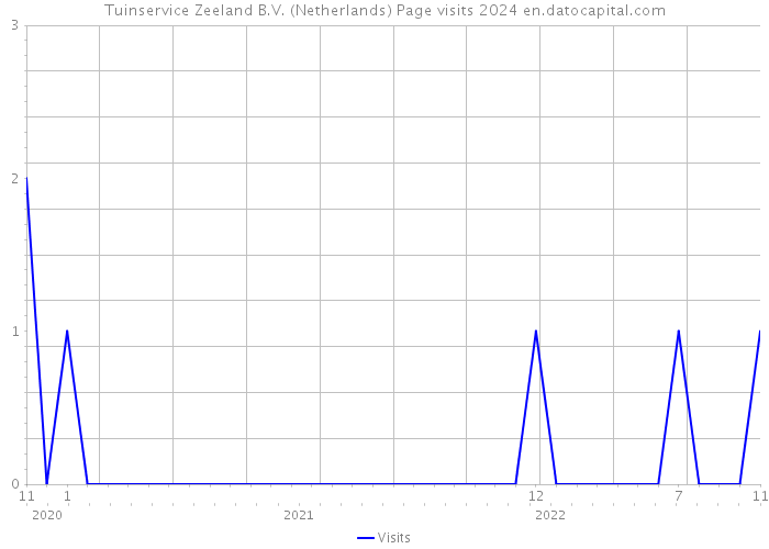Tuinservice Zeeland B.V. (Netherlands) Page visits 2024 