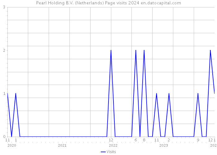 Pearl Holding B.V. (Netherlands) Page visits 2024 